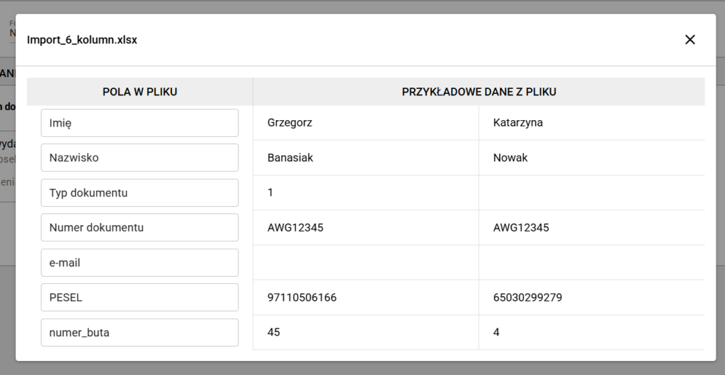 Pogląd danych z Excel