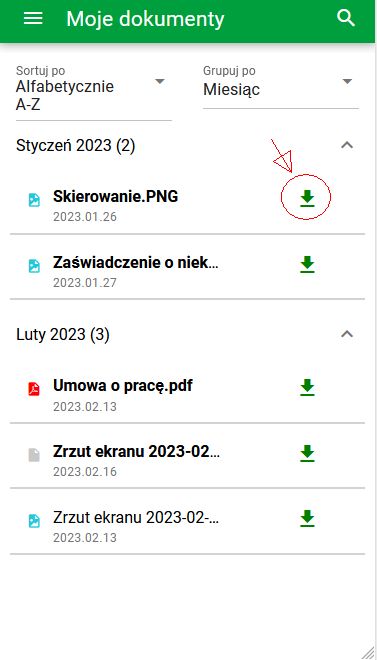 Obraz pomocniczy